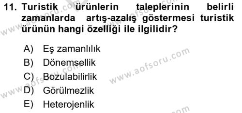 Seyahat Acentacılığı ve Tur Operatörlüğü Dersi 2023 - 2024 Yılı (Final) Dönem Sonu Sınavı 11. Soru