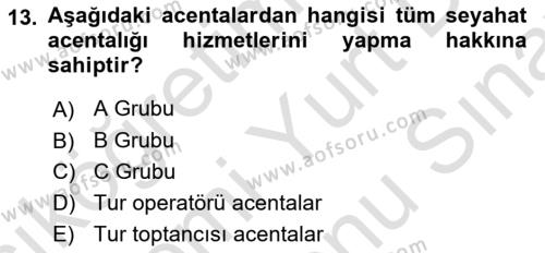 Seyahat Acentacılığı ve Tur Operatörlüğü Dersi 2023 - 2024 Yılı (Final) Dönem Sonu Sınavı 13. Soru