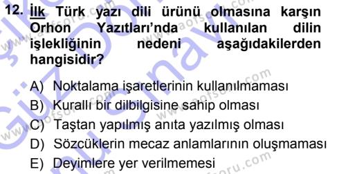 Türk Dili 1 Dersi 2012 - 2013 Yılı (Final) Dönem Sonu Sınavı 12. Soru