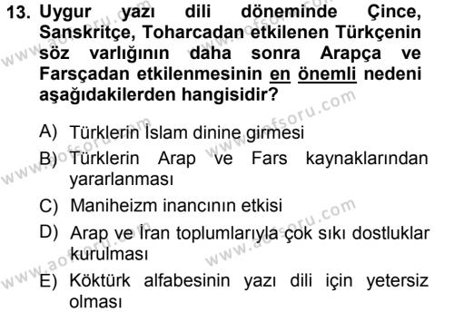 Türk Dili 1 Dersi 2012 - 2013 Yılı (Final) Dönem Sonu Sınavı 13. Soru