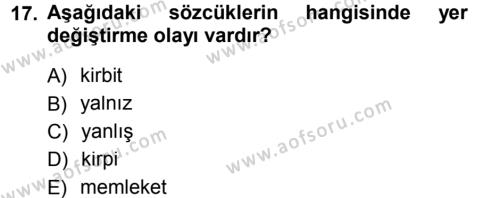 Türk Dili 1 Dersi 2012 - 2013 Yılı (Final) Dönem Sonu Sınavı 17. Soru
