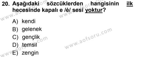 Türk Dili 1 Dersi 2012 - 2013 Yılı (Final) Dönem Sonu Sınavı 20. Soru