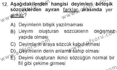 Türk Dili 1 Dersi 2012 - 2013 Yılı Tek Ders Sınavı 12. Soru