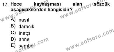 Türk Dili 1 Dersi 2013 - 2014 Yılı (Vize) Ara Sınavı 17. Soru
