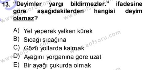 Türk Dili 1 Dersi 2013 - 2014 Yılı (Final) Dönem Sonu Sınavı 13. Soru