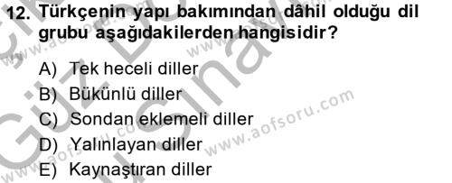 Türk Dili 1 Dersi 2014 - 2015 Yılı (Final) Dönem Sonu Sınavı 12. Soru
