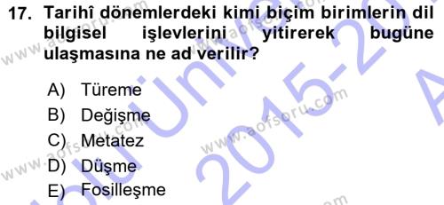 Türk Dili 1 Dersi 2015 - 2016 Yılı (Vize) Ara Sınavı 17. Soru