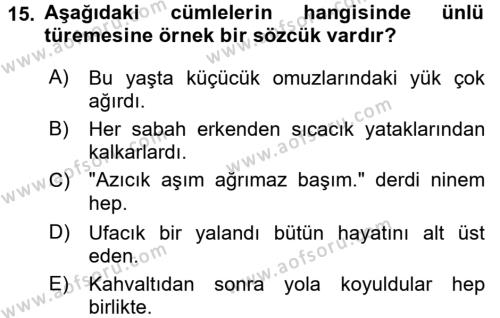 Türk Dili 1 Dersi 2016 - 2017 Yılı (Vize) Ara Sınavı 15. Soru