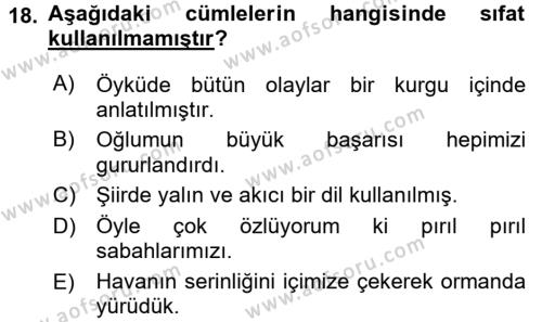 Türk Dili 1 Dersi 2016 - 2017 Yılı (Vize) Ara Sınavı 18. Soru