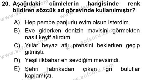 Türk Dili 1 Dersi 2016 - 2017 Yılı (Vize) Ara Sınavı 20. Soru