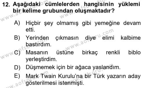 Türk Dili 1 Dersi 2021 - 2022 Yılı Yaz Okulu Sınavı 12. Soru