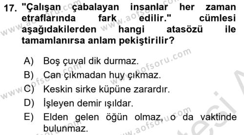Türk Dili 1 Dersi 2022 - 2023 Yılı Yaz Okulu Sınavı 17. Soru