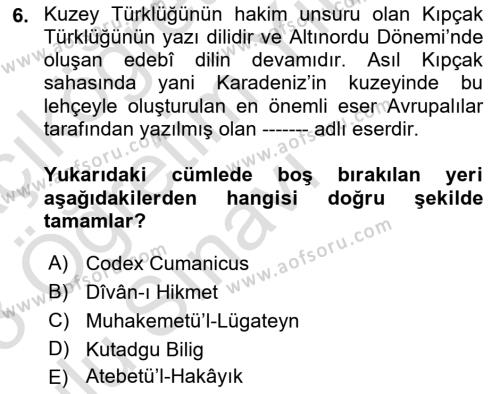 Türk Dili 1 Dersi 2022 - 2023 Yılı Yaz Okulu Sınavı 6. Soru