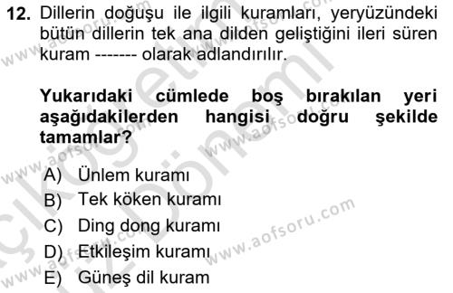 Türk Dili 1 Dersi 2023 - 2024 Yılı (Vize) Ara Sınavı 12. Soru