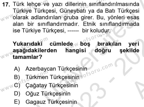 Türk Dili 1 Dersi 2023 - 2024 Yılı (Vize) Ara Sınavı 17. Soru