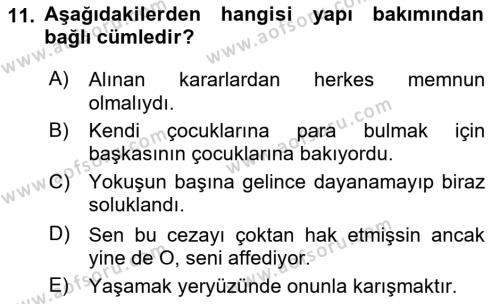 Türk Dili 1 Dersi 2023 - 2024 Yılı Yaz Okulu Sınavı 11. Soru