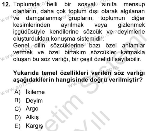 Türk Dili 1 Dersi 2023 - 2024 Yılı Yaz Okulu Sınavı 12. Soru