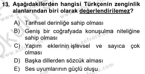 Türk Dili 1 Dersi 2023 - 2024 Yılı Yaz Okulu Sınavı 13. Soru