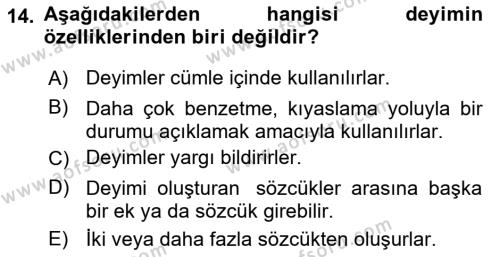 Türk Dili 1 Dersi 2023 - 2024 Yılı Yaz Okulu Sınavı 14. Soru