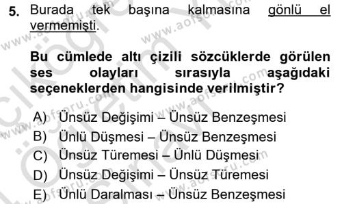 Türk Dili 1 Dersi 2023 - 2024 Yılı Yaz Okulu Sınavı 5. Soru