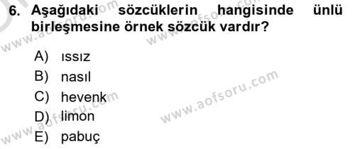 Türk Dili 1 Dersi 2023 - 2024 Yılı Yaz Okulu Sınavı 6. Soru