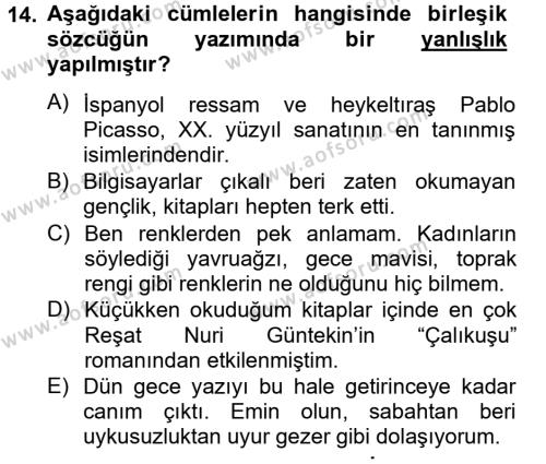 Türk Dili 2 Dersi 2012 - 2013 Yılı (Vize) Ara Sınavı 14. Soru