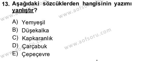 Türk Dili 2 Dersi 2013 - 2014 Yılı (Vize) Ara Sınavı 13. Soru