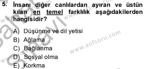 Türk Dili 2 Dersi 2013 - 2014 Yılı (Vize) Ara Sınavı 5. Soru