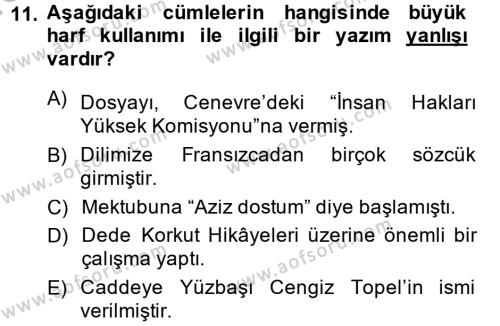 Türk Dili 2 Dersi 2014 - 2015 Yılı (Vize) Ara Sınavı 11. Soru