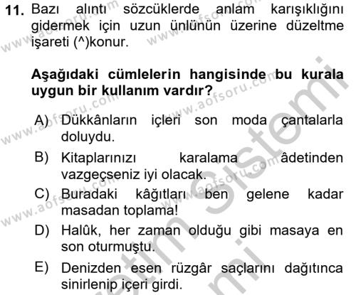 Türk Dili 2 Dersi 2016 - 2017 Yılı (Vize) Ara Sınavı 11. Soru