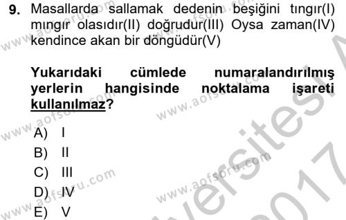 Türk Dili 2 Dersi 2016 - 2017 Yılı (Vize) Ara Sınavı 9. Soru