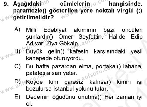 Türk Dili 2 Dersi 2017 - 2018 Yılı (Vize) Ara Sınavı 9. Soru