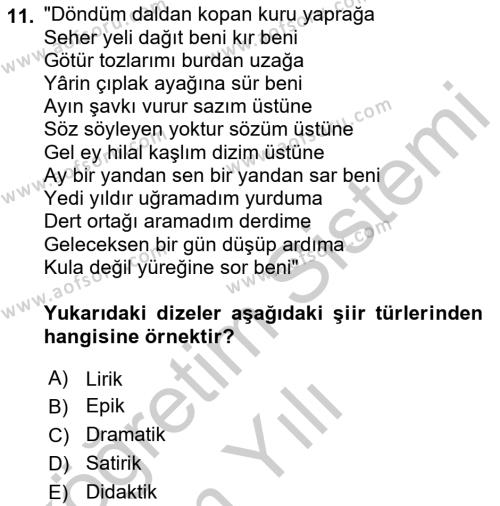Türk Dili 2 Dersi 2018 - 2019 Yılı Yaz Okulu Sınavı 11. Soru