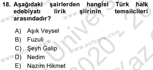Türk Dili 2 Dersi 2020 - 2021 Yılı Yaz Okulu Sınavı 18. Soru