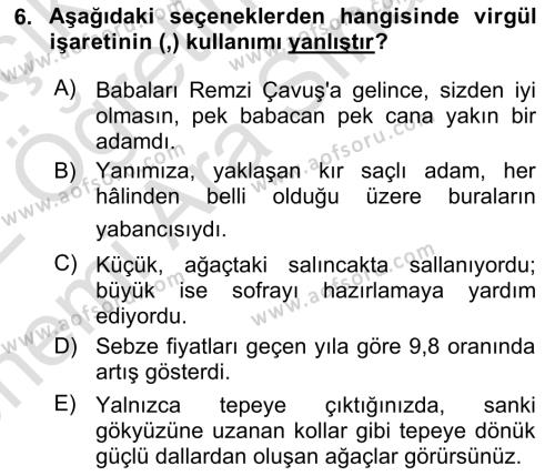 Türk Dili 2 Dersi 2021 - 2022 Yılı (Vize) Ara Sınavı 6. Soru