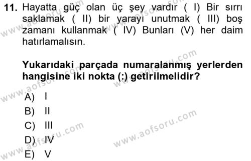 Türk Dili 2 Dersi 2021 - 2022 Yılı (Final) Dönem Sonu Sınavı 11. Soru