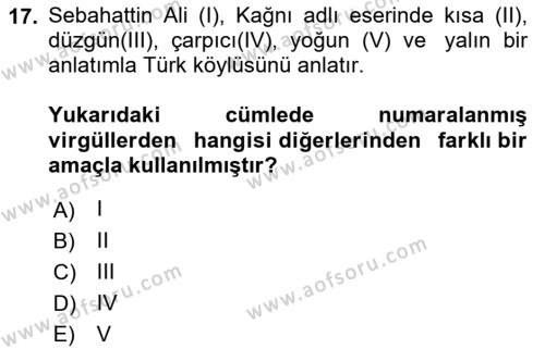 Türk Dili 2 Dersi 2021 - 2022 Yılı (Final) Dönem Sonu Sınavı 17. Soru