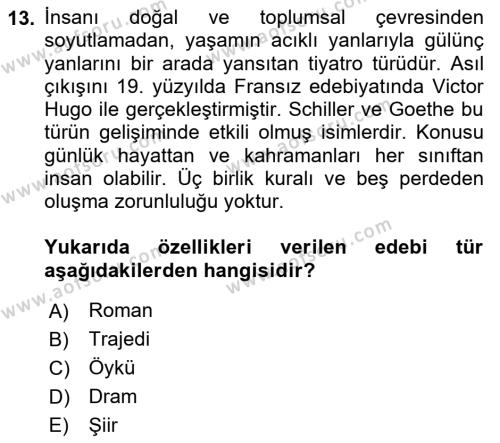 Türk Dili 2 Dersi 2021 - 2022 Yılı Yaz Okulu Sınavı 13. Soru