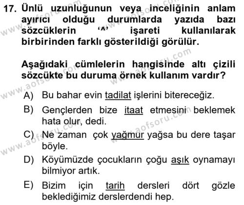 Türk Dili 2 Dersi 2022 - 2023 Yılı Yaz Okulu Sınavı 17. Soru