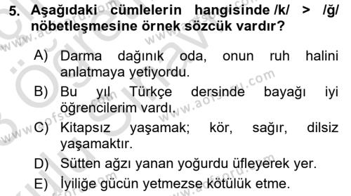 Türk Dili 2 Dersi 2022 - 2023 Yılı Yaz Okulu Sınavı 5. Soru