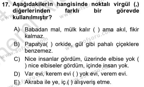 Türk Dili 2 Dersi 2023 - 2024 Yılı (Vize) Ara Sınavı 17. Soru