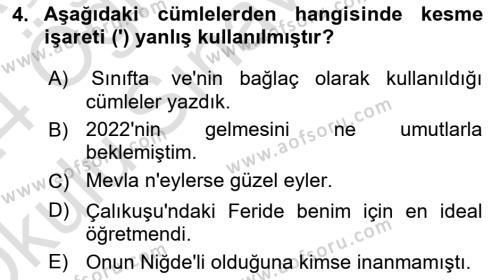 Türk Dili 2 Dersi 2023 - 2024 Yılı Yaz Okulu Sınavı 4. Soru