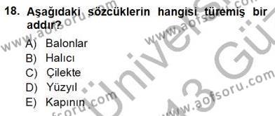 Türkçe Sözlü Anlatım Dersi 2012 - 2013 Yılı (Vize) Ara Sınavı 18. Soru