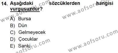 Türkçe Sözlü Anlatım Dersi 2012 - 2013 Yılı (Final) Dönem Sonu Sınavı 14. Soru