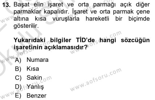 Türk İşaret Dili Dersi 2021 - 2022 Yılı Yaz Okulu Sınavı 13. Soru