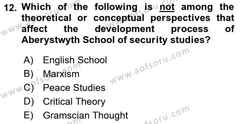 Theories Of International Relations 2 Dersi 2018 - 2019 Yılı (Final) Dönem Sonu Sınavı 12. Soru