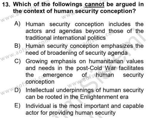 Theories Of International Relations 2 Dersi 2020 - 2021 Yılı Yaz Okulu Sınavı 13. Soru