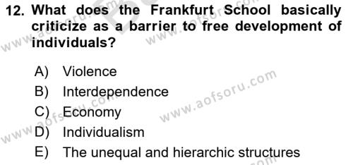 Theories Of International Relations 2 Dersi 2021 - 2022 Yılı (Final) Dönem Sonu Sınavı 12. Soru