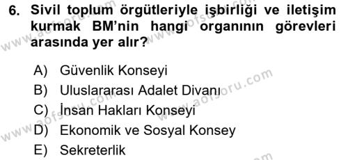 Uluslararası Örgütler Dersi 2021 - 2022 Yılı (Vize) Ara Sınavı 6. Soru