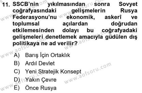 Uluslararası Örgütler Dersi 2021 - 2022 Yılı Yaz Okulu Sınavı 11. Soru